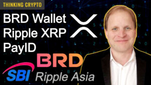 Read more about the article Ripple XRP & ODL Adoption & PayID – CEO of BRD Wallet & SBI Ripple Asia Adam Traidman Interview