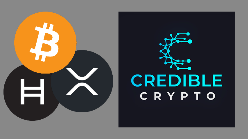 Credible crypto xrp price prediction mr robot bitcoin