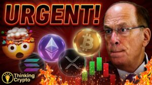 Read more about the article Bitcoin & Altcoin Relief Rally Over or is this a Fakeout?