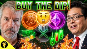 Read more about the article Major Crypto Dip Buying Opportunity is Here for Bitcoin & Altcoins!